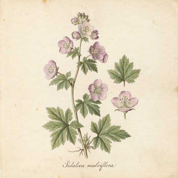 Checker Bloom botanical plate